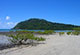Daintree Forest - Cap Tribulation