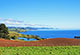 Tasmanie